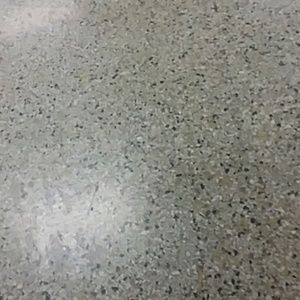 Meet your Posher, Raina